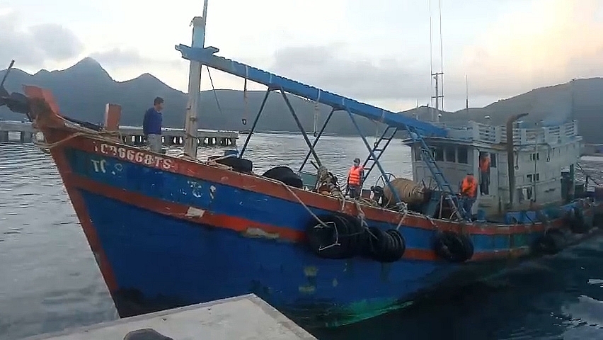 Tàu vi phạm đã được đưa về cảng.