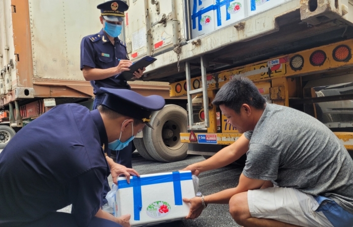 Lạng Sơn thúc đẩy xuất khẩu nông sản, trái cây tươi bằng luồng ưu tiên
