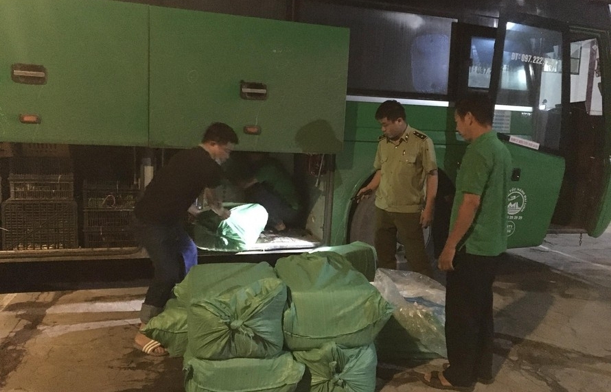 Nghệ An: Phát hiện và tiêu hủy hơn 1,2 tấn sản phẩm động vật đã bốc mùi hôi thối