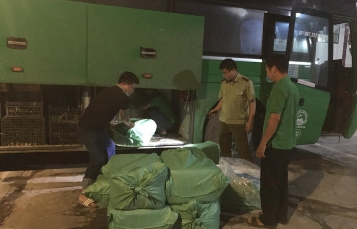 Nghệ An: Phát hiện và tiêu hủy hơn 1,2 tấn sản phẩm động vật đã bốc mùi hôi thối