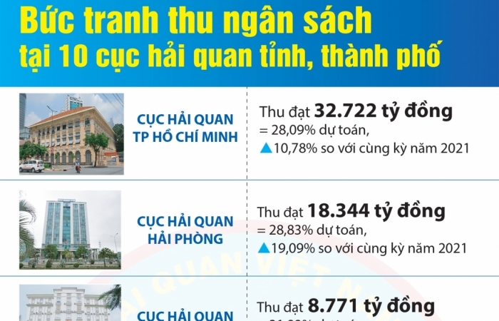 Infographics: Bức tranh thu ngân sách tại 10 cục hải quan tỉnh, thành phố