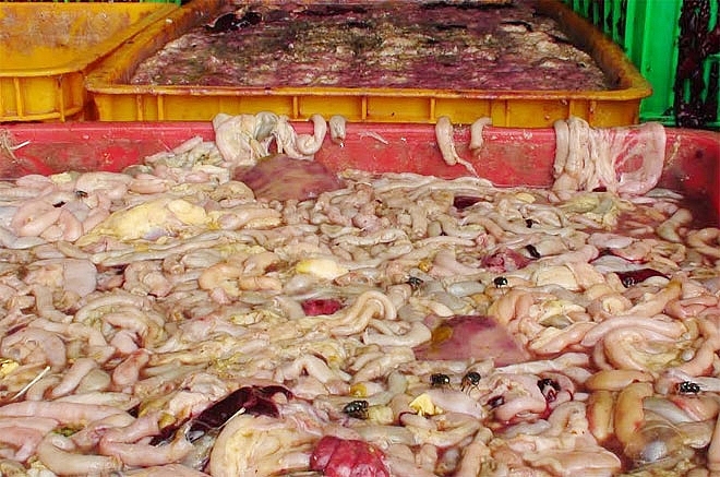 nghe an bat 265 kg san pham dong vat boc mui hoi thoi