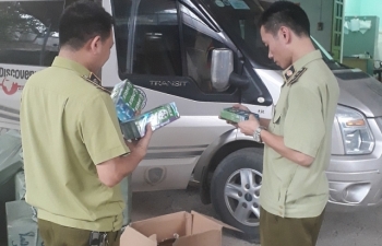 Thu giữ 1.152 tuýp kem đánh răng nhập lậu từ Trung Quốc