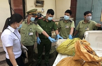 Đột kích xưởng chế biến, thu 800 kg lòng lợn thối