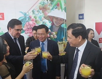 Hệ thống Big C sẽ tiêu thụ 350 tấn vải thiều Bắc Giang