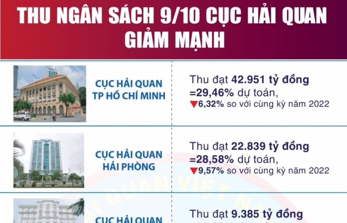 Infographics: Thu ngân sách tại 9/10 cục hải quan giảm mạnh