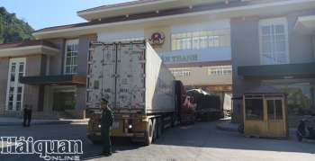 Trung Quốc khuyến cáo vải quả XK từ Việt Nam nên ngắn cuống và ít lá