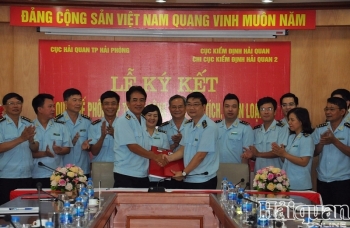 Nâng cao hiệu quả công tác phân tích, phân loại, kiểm định tại Hải Phòng