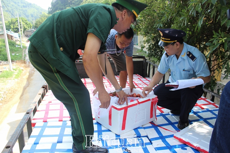 lang son xay dung phuong an tao thuan loi cho hoa qua tuoi xuat khau