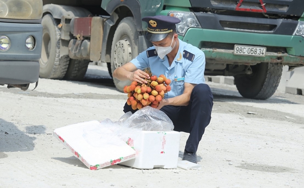 ực lượng chức năng tại cửa khẩu tạo mọi điều thuận lợi, ưu tiên để các lô hàng quả vải tươi thông quan nhanh nhất, tránh tình trạng bị hỏng do thời tiết nắng nóng.