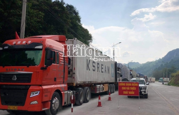 Hải quan Lạng Sơn: Nỗ lực thông quan hàng nông sản, hoa quả tươi