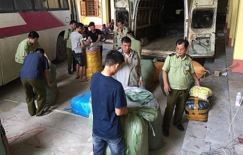 Bắt hơn 1.500 sản phẩm mỹ phẩm do Trung Quốc sản xuất