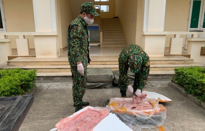Bắt giữ gà giống và nầm lợn nhập lậu
