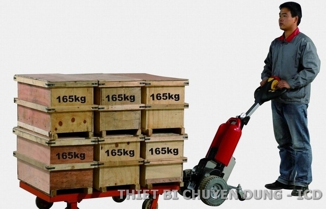 Kiểm tra, rà soát các tờ khai nhập khẩu mặt hàng xe kéo dùng trong phạm vi hẹp
