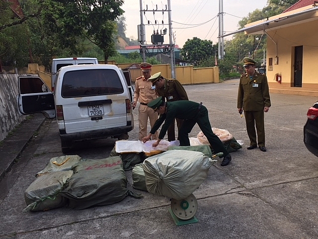 lang son bat giu tieu huy hon 500 kg nam lon dang phan huy