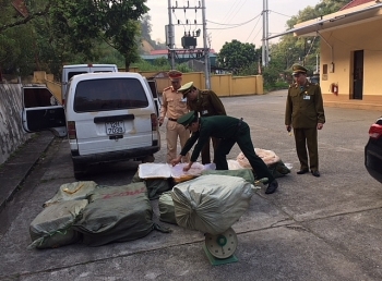 Lạng Sơn: Bắt giữ, tiêu hủy hơn 500 kg nầm lợn đang phân hủy