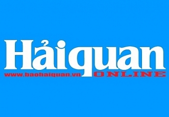 Màn ảnh cảnh báo giá trị của rừng