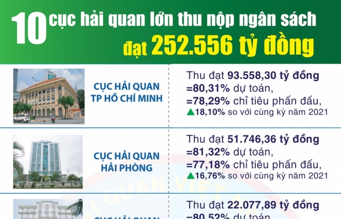 Infographics: 10 cục hải quan lớn thu nộp ngân sách đạt 252.556 tỷ đồng