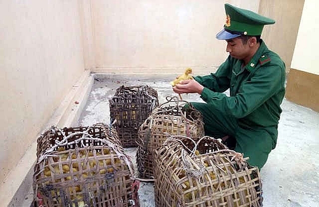 Lực lượng biên phòng kiểm tra tang vật.