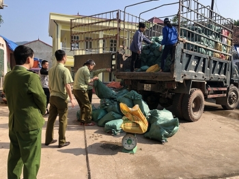 Lạng Sơn: Liên tiếp bắt các vụ vận chuyển thực phẩm bẩn