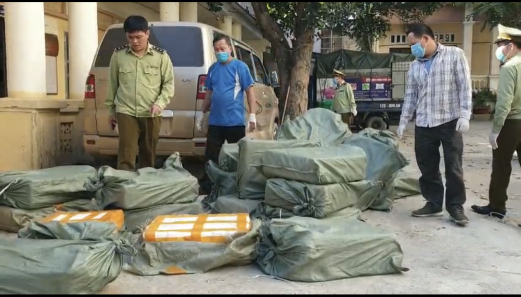 Lực lượng chức năng đang kiểm tra, bắt giữ hơn 500 kg nầm lợn đã bốc mùi hôi thối. Ảnh: QLTT LS