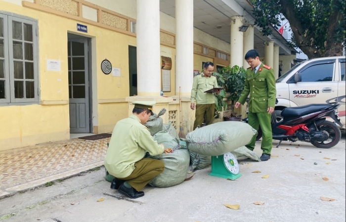 Thu giữ 240 kg nguyên liệu thuốc bắc không có hóa đơn, chứng từ