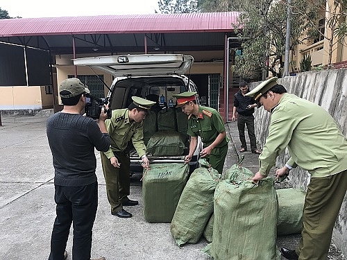 lang son bat giu 600kg nam lon da boc mui hoi thoi