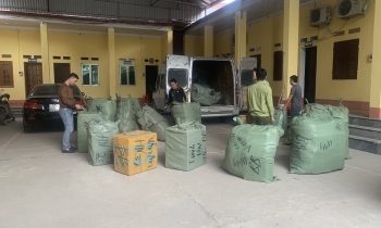 Liên tiếp thu giữ hàng hóa có dấu hiệu giả mạo nhãn hiệu