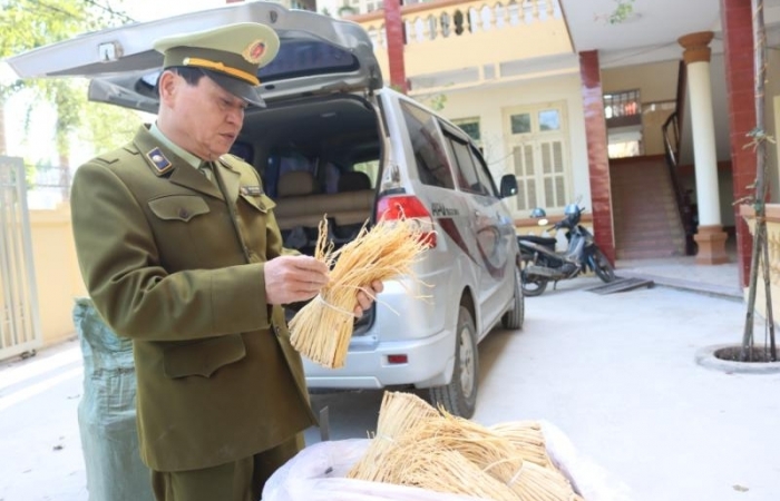 "Tóm" kịp thời 200 kg dược liệu sắp đưa vào nội địa tiêu thụ