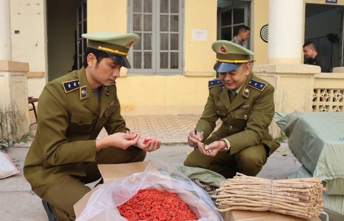 Thu giữ hơn 1 tấn nguyên liệu thuốc bắc nhập lậu