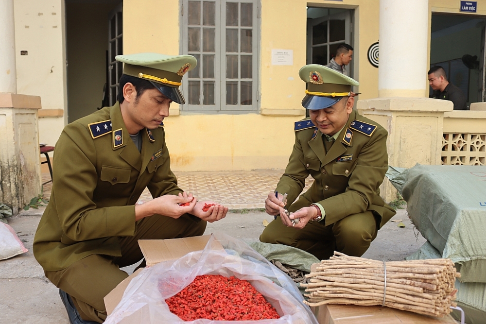 Lực lượng chức năng kiểm tra só hàng vi phạm. Ảnh: QLTT LS