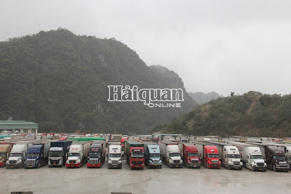 Lượng xe hàng chờ thông quan tại bãi xe Bảo Nguyên. Ảnh: H.Nụ