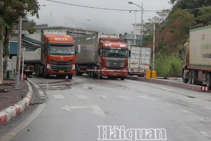 Lạng Sơn: Ưu tiên thông quan nhanh các mặt hàng hoa quả không bảo quản lạnh