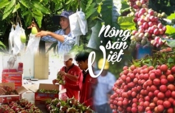 EU giảm 50% số lượng cảnh báo đối với nông sản Việt