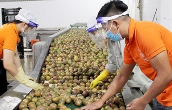 Quy định mới của Trung Quốc về xuất khẩu thực phẩm