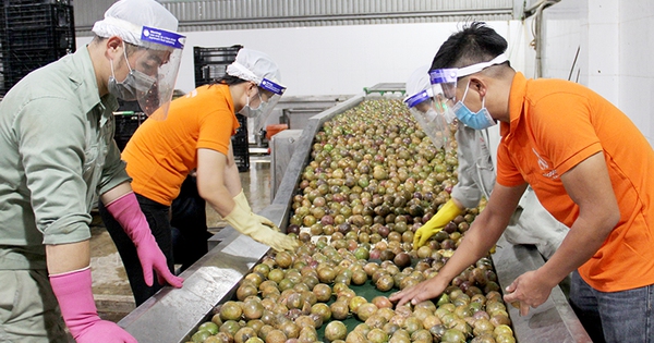 Quy định mới của Trung Quốc về xuất khẩu thực phẩm