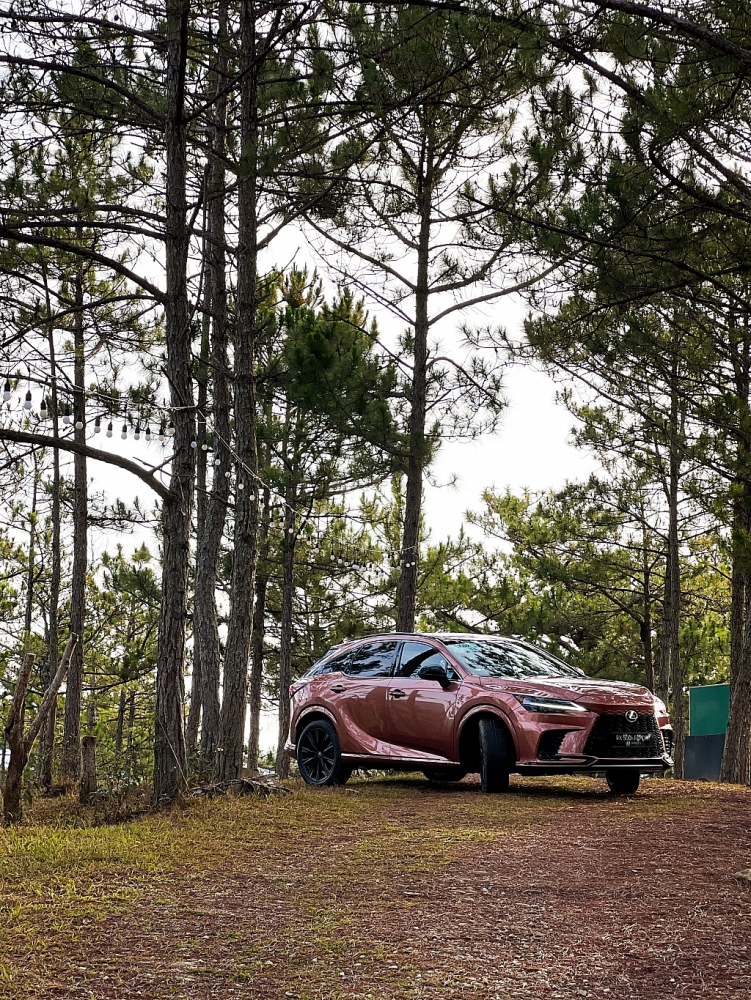 Hành trình “Sense the Next Chater”, trải nghiệm sự chuyển mình của Lexus