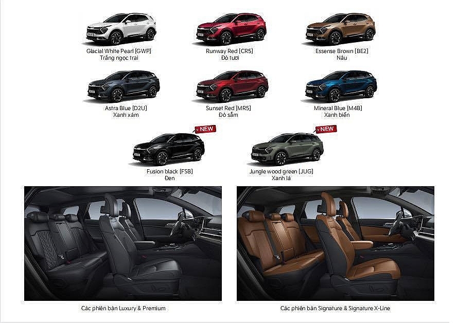 KIA Sportage mới tại Việt Nam: 8 phiên bản, 3 tùy chọn động cơ?