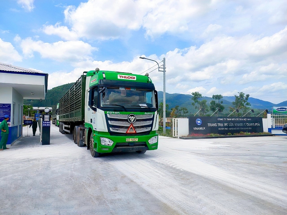 THILOGI cung ứng dịch vụ vận chuyển gia súc chuyên nghiệp