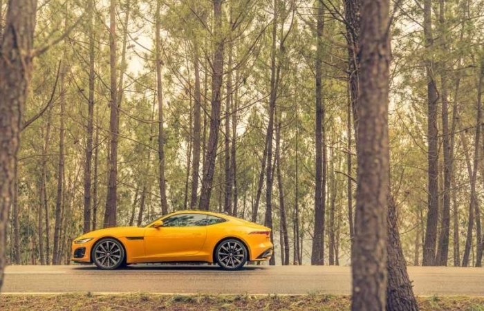 Jaguar và Land Rover và Leica phối hợp thực hiện chương trình “Không ngừng khám phá”