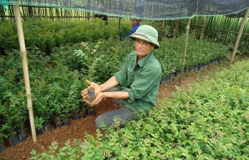 Bộ NN&PTNT "cắt phăng" 122 thủ tục hành chính