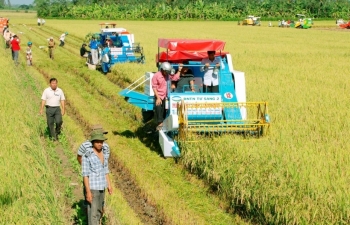 Năng suất lúa tăng kỷ lục, dân “trúng” đậm bất chấp hạn mặn