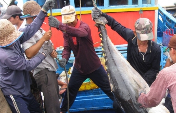 EC sang kiểm tra khắc phục “thẻ vàng” IUU, địa phương cần chuẩn bị nhiều kịch bản