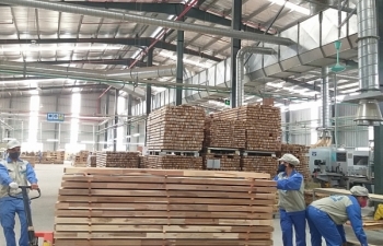 Tăng trưởng xuất khẩu lâm sản cao nhất trong 5 năm trở lại đây