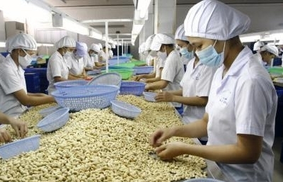 Xuất khẩu hạt điều thuận lợi, nhiều doanh nghiệp đã có đơn hàng giao 2022