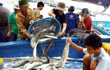 Thứ trưởng Bộ NN&PTPNT: Không làm xấu hơn tình hình "thẻ vàng”