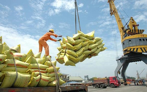 hai quan hoa toc thong bao mo he thong dang ky to khai gao ton tai cang