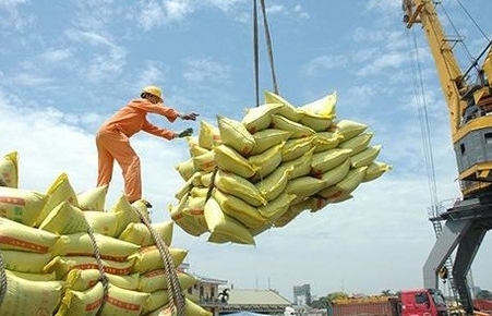 Gỡ vướng cho doanh nghiệp xuất khẩu gạo