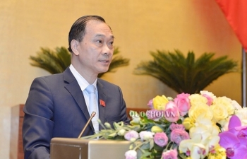 Do tính chất rất đặc thù, cần xây dựng luật riêng về hộ kinh doanh