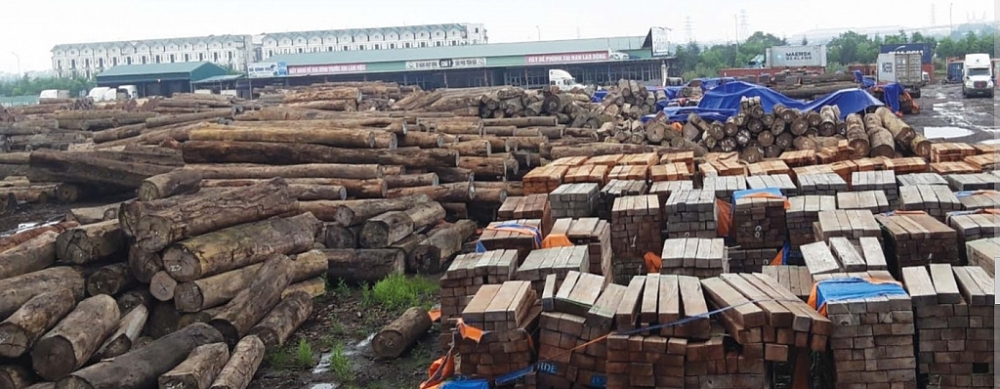 Doanh nghiệp gỗ lao đao vì chậm được CITES Việt Nam cấp giấy phép